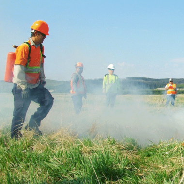 Harnessing the Regenerative Power of Fire through Traditional Knowledge