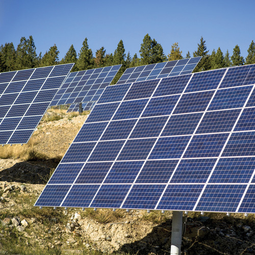 Climate Action